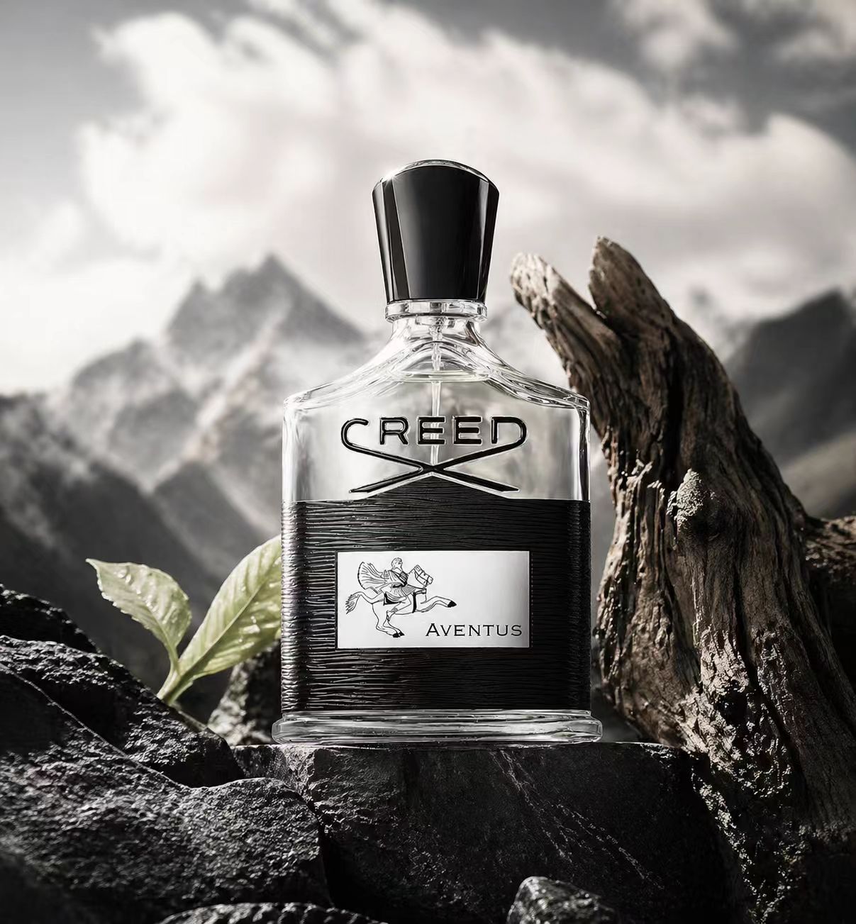 Creed Aventus: Cesur ve Zamans - Creed Aventus Dupe incelemesi ve fiyatı